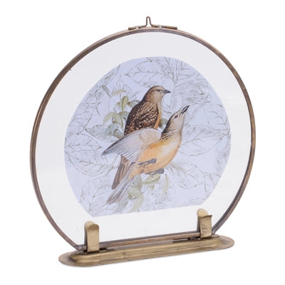 Framed Bird Art